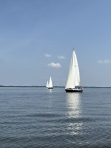 Sailboats on the water