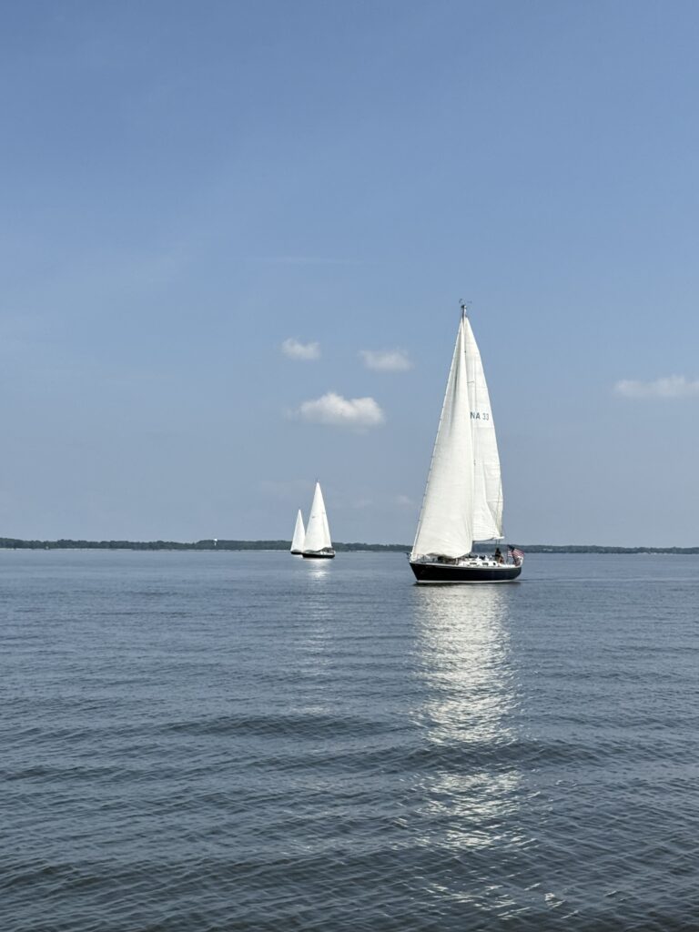 Sailboats on the water