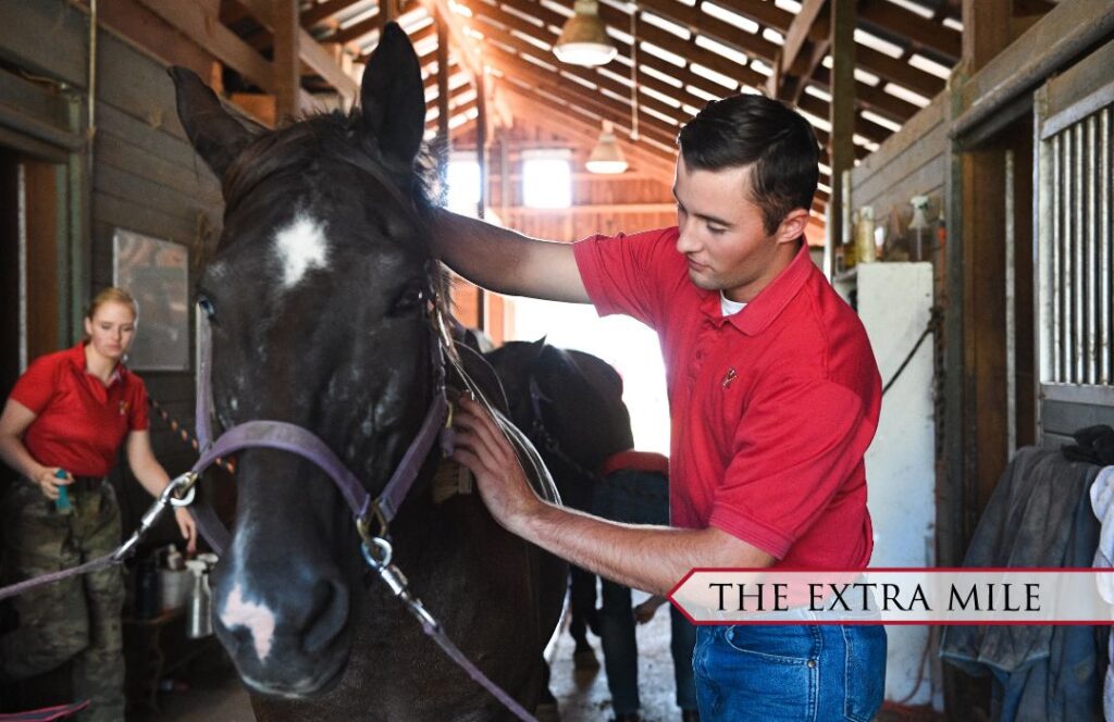 Cadet David Hess ’24 grooming a horse in the stables.