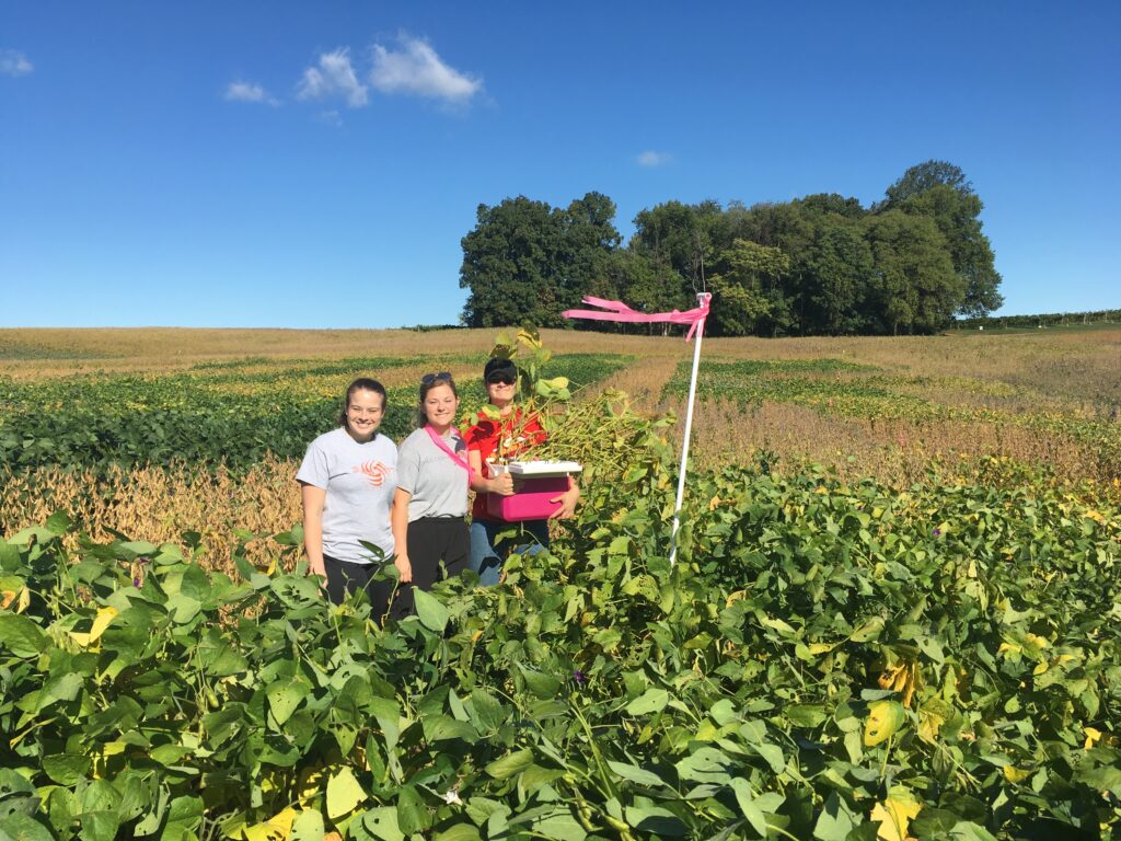 A scholarly article addressing soybean research spanning seven years was published in the September 2025 issue of Agrosystems, Geosciences & Environment, a joint publication of American Society of Agronomy and Crop Science Society of America.