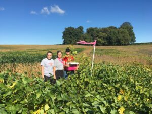 A scholarly article addressing soybean research spanning seven years was published in the September 2025 issue of Agrosystems, Geosciences & Environment, a joint publication of American Society of Agronomy and Crop Science Society of America.