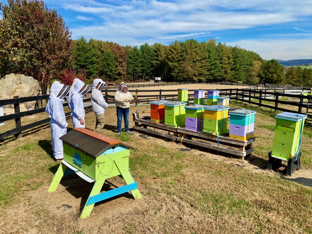 Cadets in the Building BRIDGES club visited Bels Bees on Saturday, Oct. 23 to learn about the Hives for Heroes project which teaches vets about honey making and beehives.