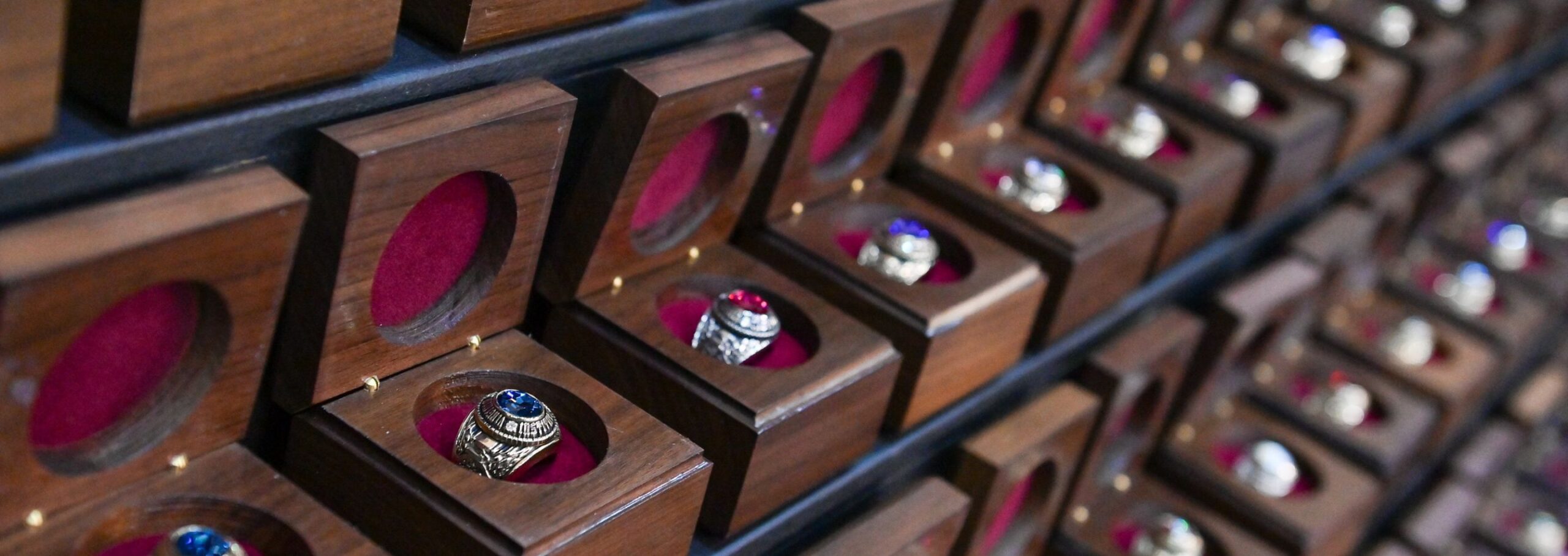 Ring Figure rings in cases.